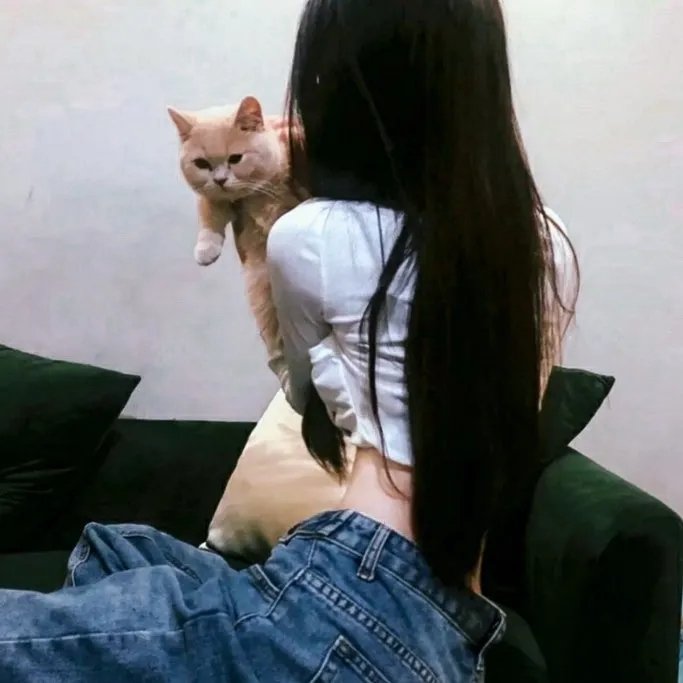 银城尤物